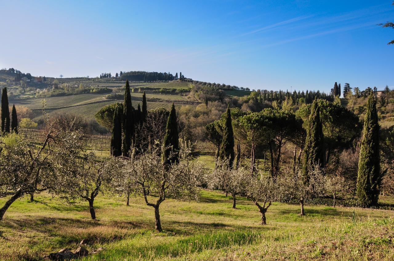 B&B Fagiolari Greve in Chianti Exterior foto
